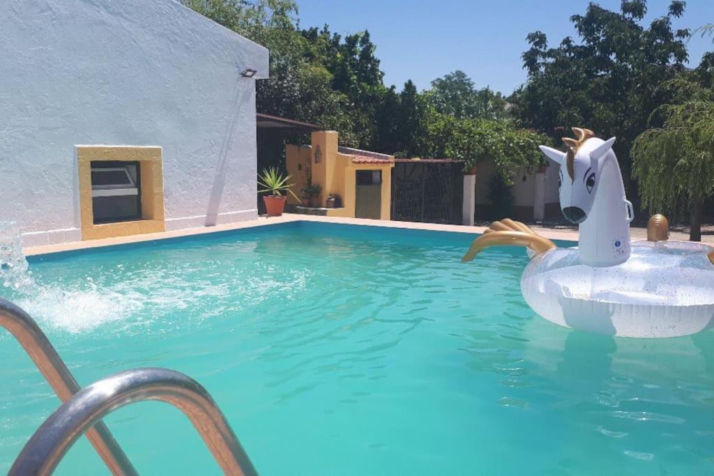 Quinta Da Ponte Das Hortas 3 เอลวัช ภายนอก รูปภาพ