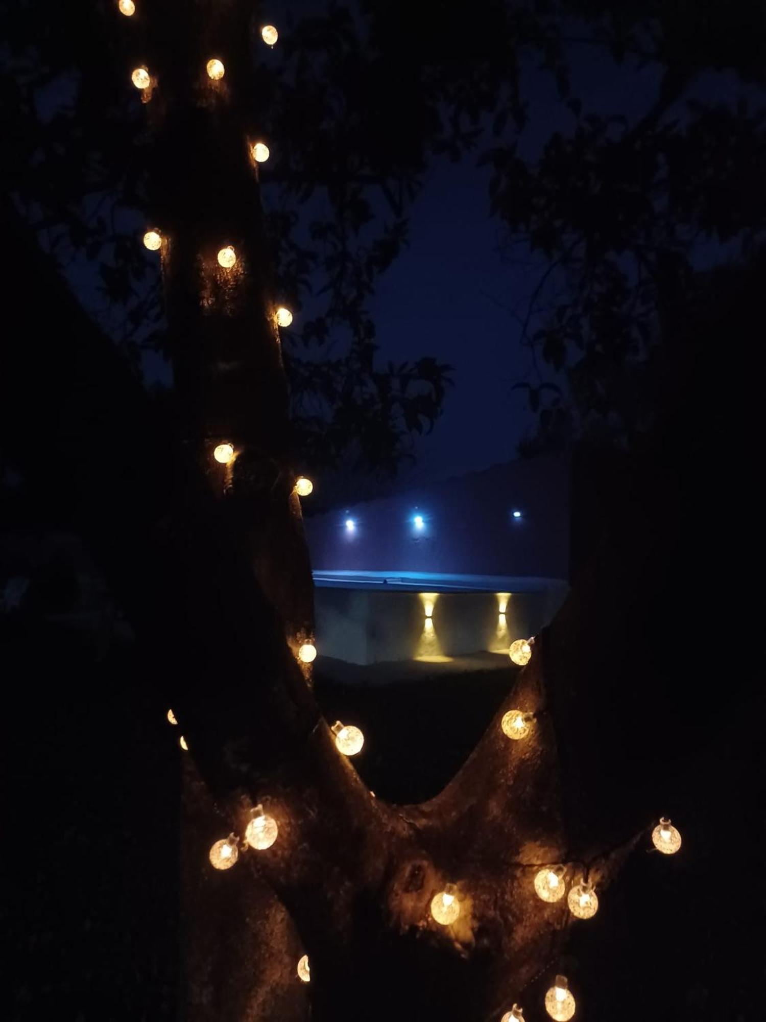 Quinta Da Ponte Das Hortas 3 เอลวัช ภายนอก รูปภาพ