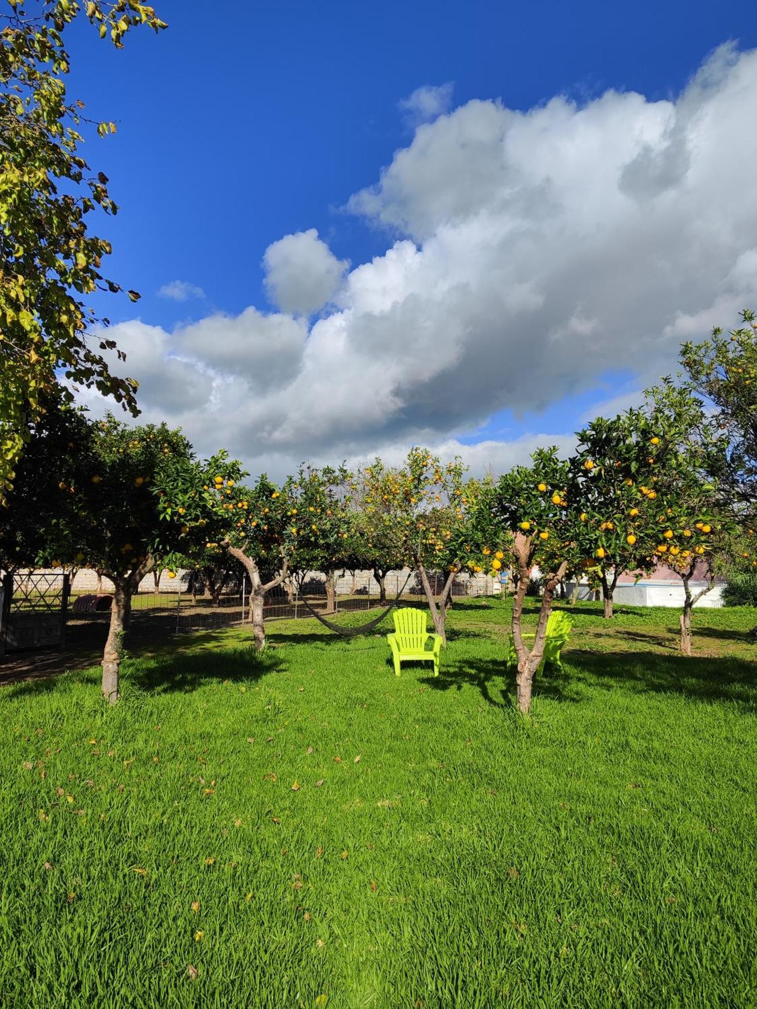 Quinta Da Ponte Das Hortas 3 เอลวัช ภายนอก รูปภาพ