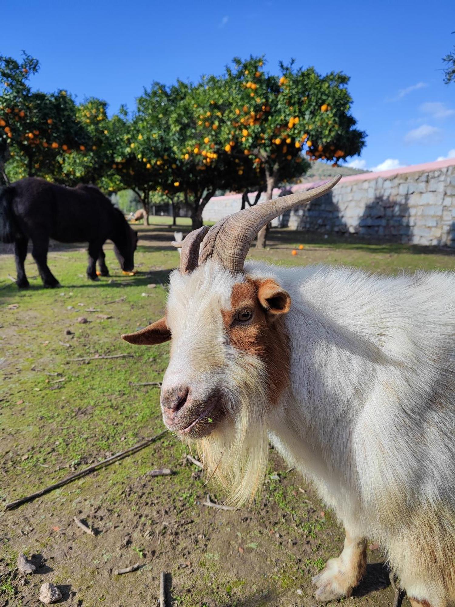 Quinta Da Ponte Das Hortas 3 เอลวัช ภายนอก รูปภาพ